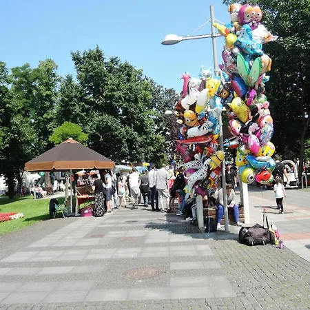 In Near Baltic Sea * Dziwnów