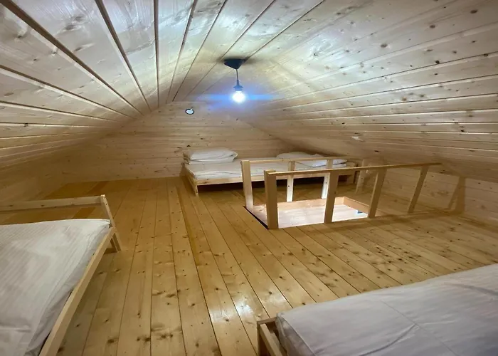 In Near Baltic Sea * Dziwnów